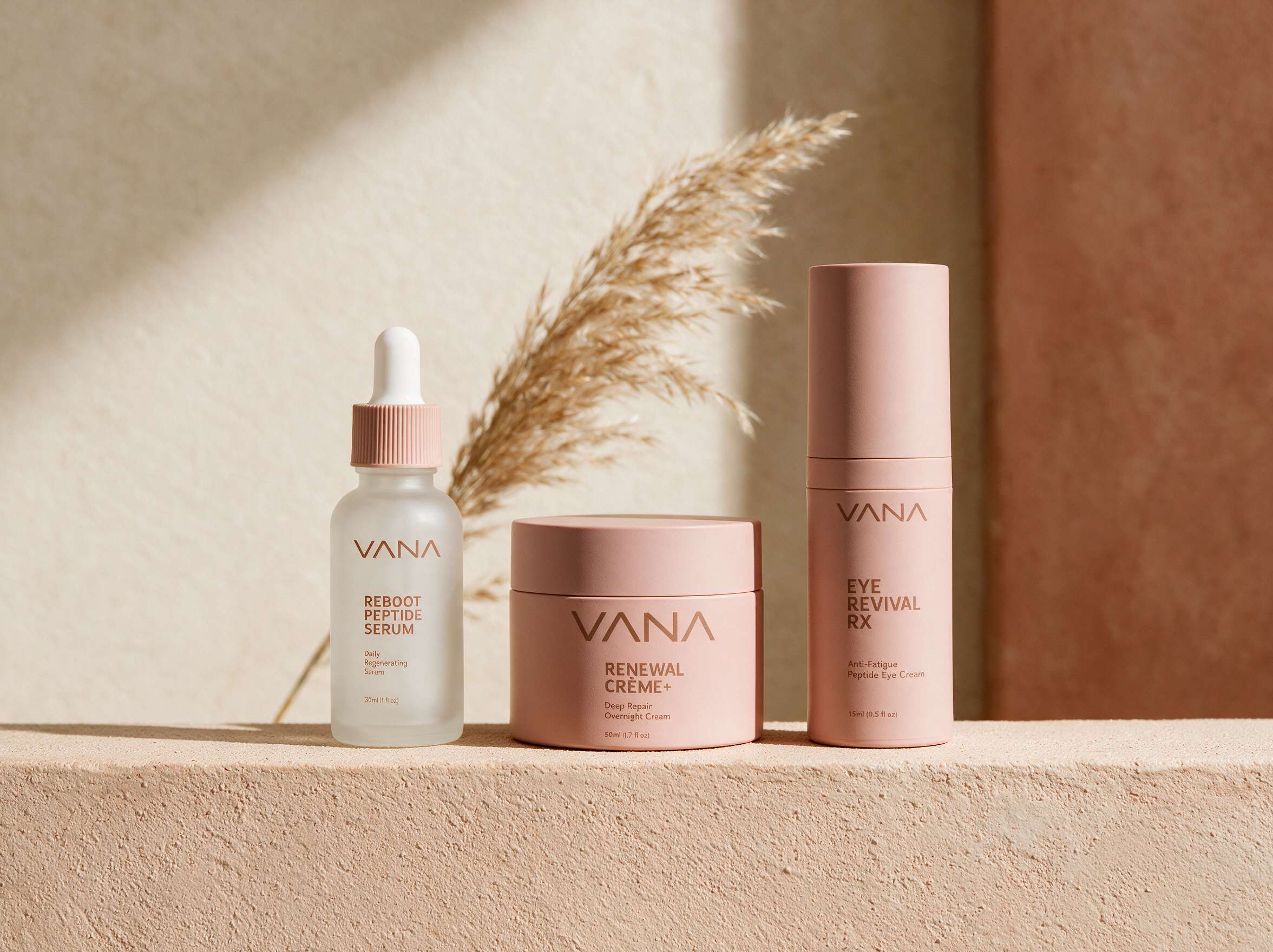 The full VANA collection arranged on a sunlit plaster shelf with pampas grass